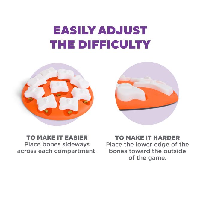 Puzle suņiem Dog Smart ar kauliņiem