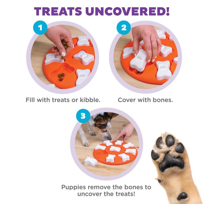 Puzle suņiem Dog Smart ar kauliņiem