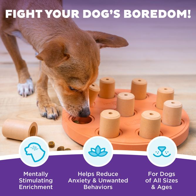 Puzle suņiem Dog Smart Composite