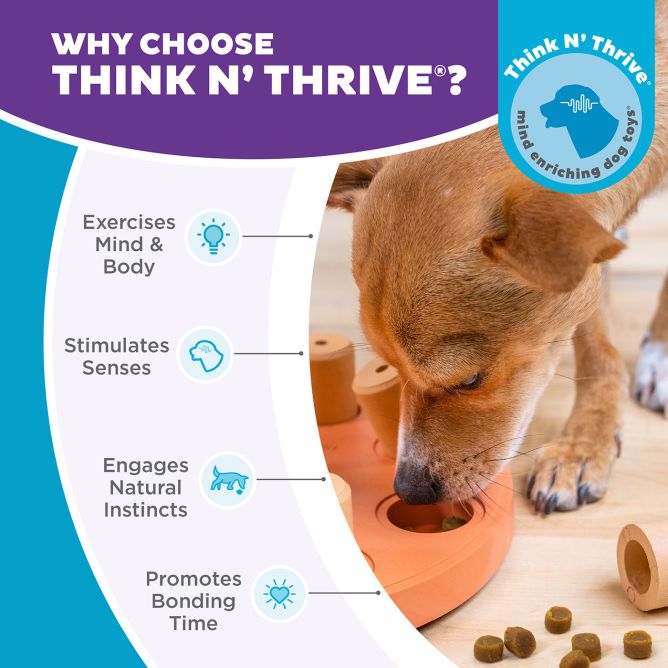 Puzle suņiem Dog Smart Composite