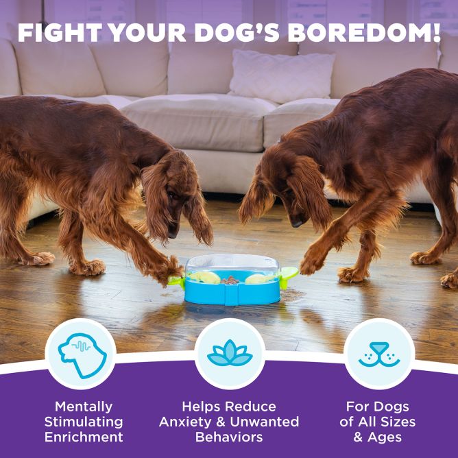 Puzle suņiem Paw N' Play