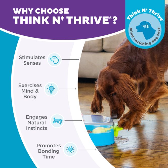 Puzle suņiem Paw N' Play