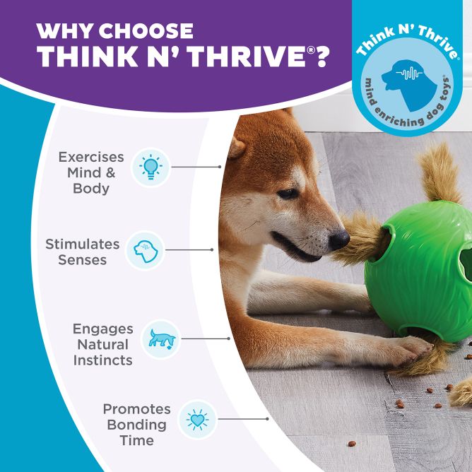 Puzle suņiem Snuffle N' Treat Ball, L