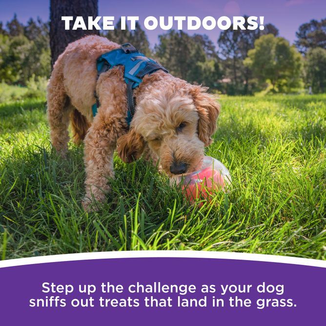 Puzle suņiem Topsy Treat Ball