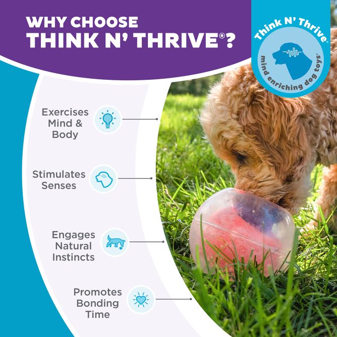 Puzle suņiem Topsy Treat Ball