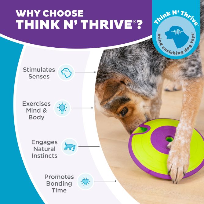 Puzle suņiem Treat Maze