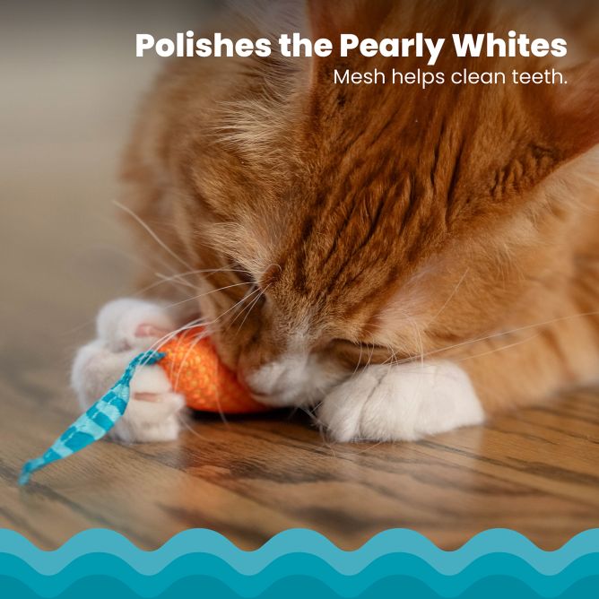 Rotaļlieta kaķiem Catnip Chew Mice, 2gb