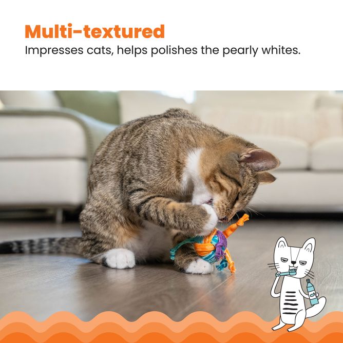 Rotaļlieta kaķiem Catnip Tons Of Tails