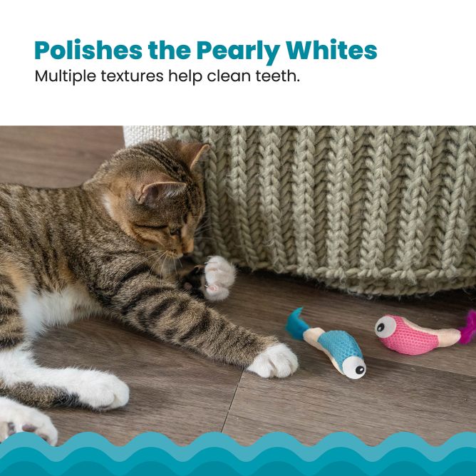 Rotaļlieta kaķiem Dental Shrimpies, 2gb