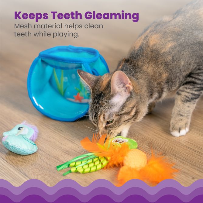 Rotaļlieta kaķiem Hide&Seek Fish Bowl