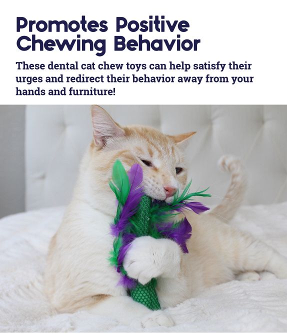 Rotaļlieta kaķiem Krazy Kale