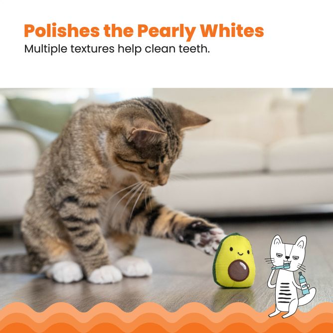 Rotaļlieta kaķiem Lil' Avocato