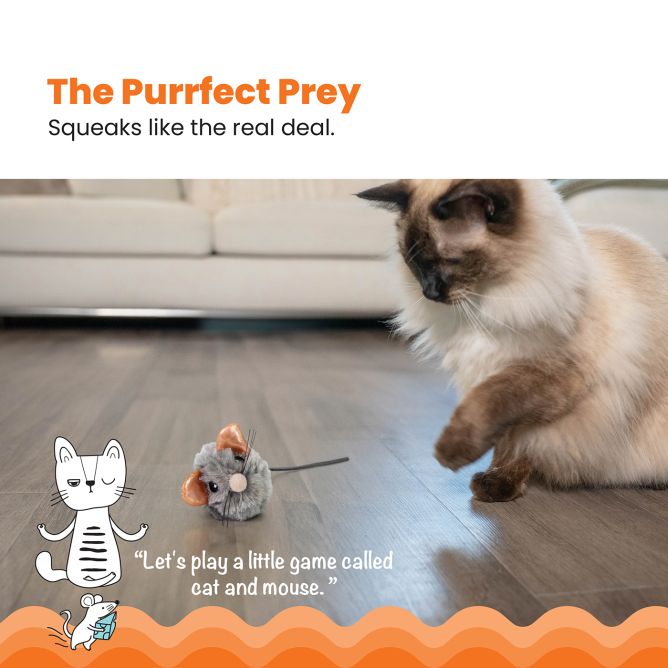 Rotaļlieta kaķiem Squeak Squeak Mouse