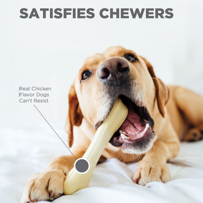 Rotaļlieta suņiem Chick A Bone, XS