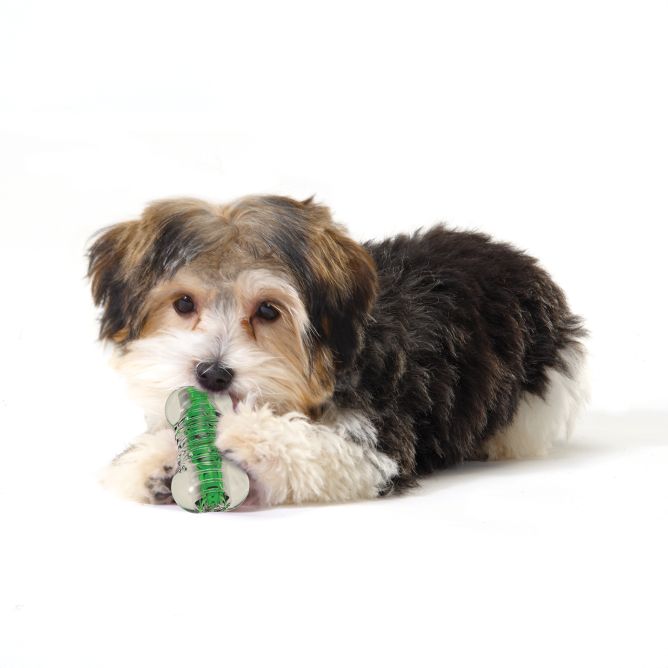 Rotaļlieta suņiem Crunchcore, S