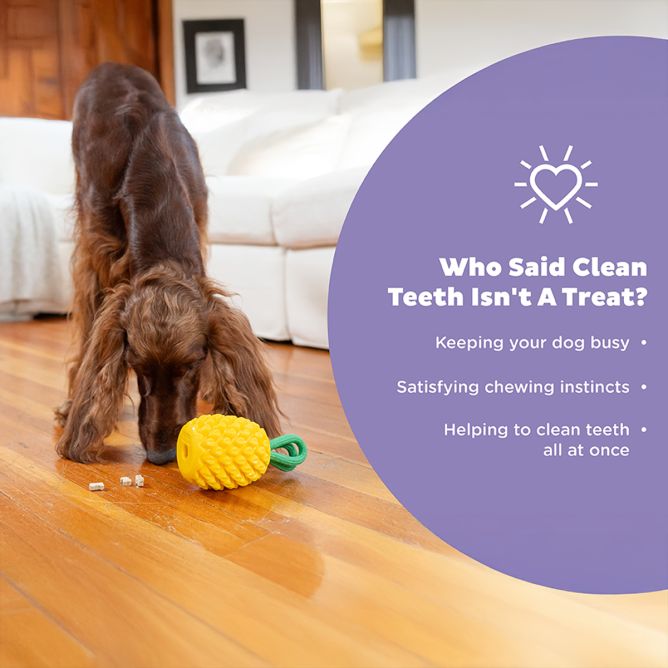 Rotaļlieta suņiem Dental Pineapple