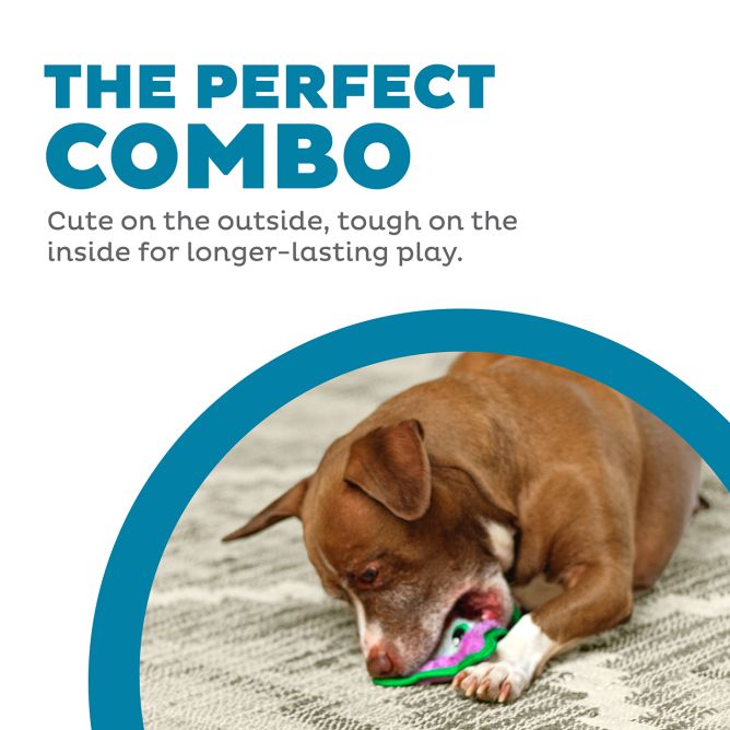 Rotaļlieta suņiem Durablez Owl, XS