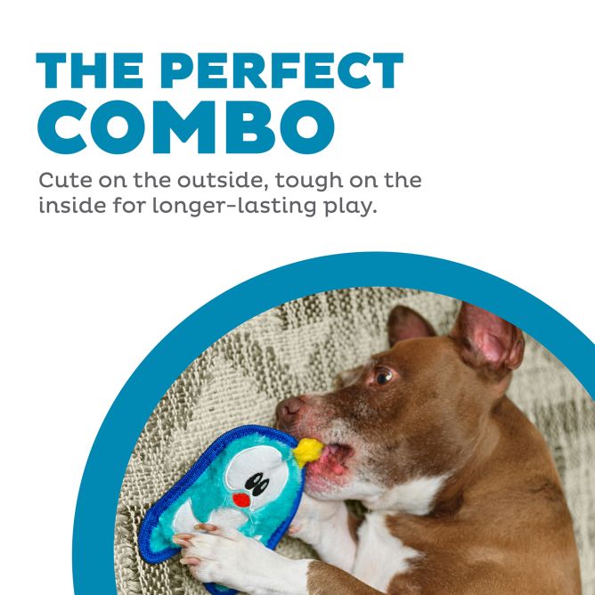 Rotaļlieta suņiem Durablez Penguin, XS