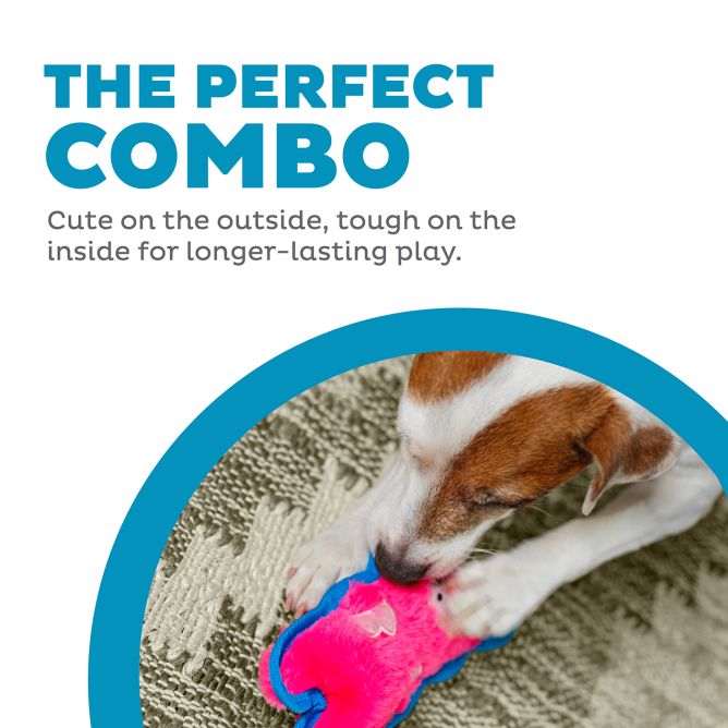 Rotaļlieta suņiem Durablez Pig, XS