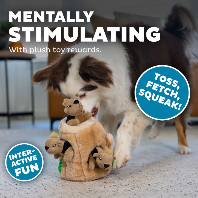 Rotaļlieta suņiem Hide A Squirrel, M