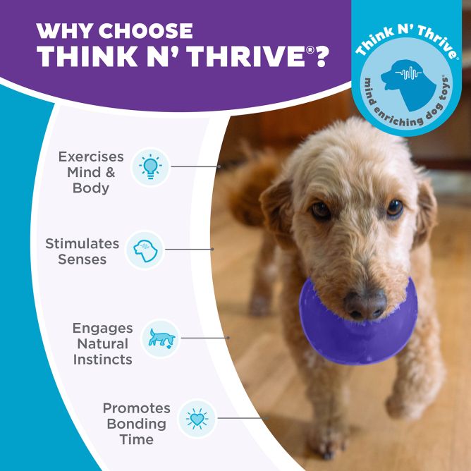 Rotaļlieta suņiem Lil Snoop, zila, S