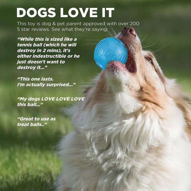 Rotaļlieta suņiem Orka Ball Pet