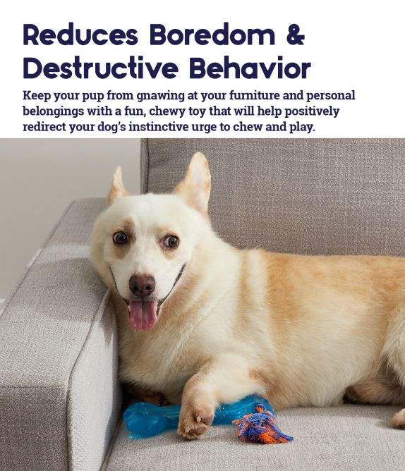 Rotaļlieta suņiem Orka Bone, L