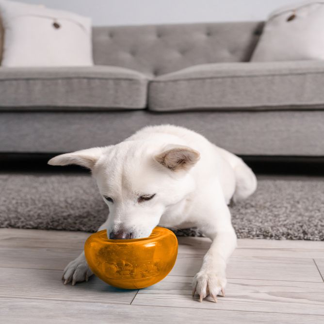 Rotaļlieta suņiem Snoop, oranža, L