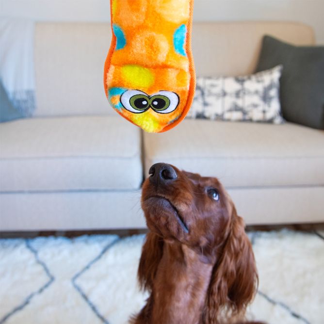 Rotaļlieta suņiem Sssupreme Snake, S