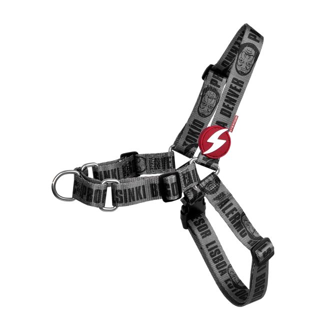 Dashi priekšas iemaukti suņiem LCDP MELTED, S