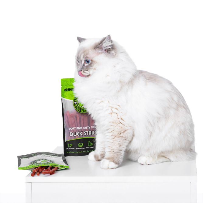 Kiwi Walker kaltētas pīles mīkstās strēmelītes, 100g