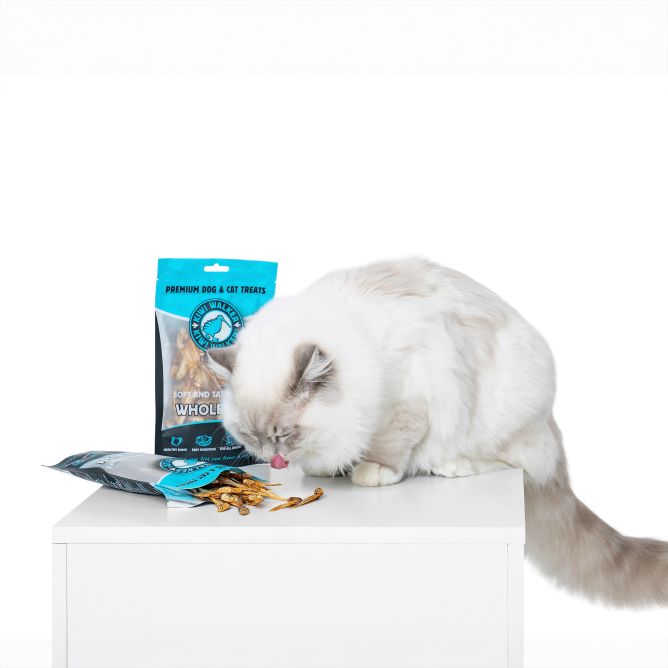 Kiwi Walker kaltētas veselas zivis, 100g