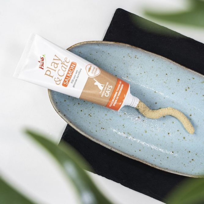 Prins Play&Care Cat kāruma krēms ar lasi kaķiem, 75g