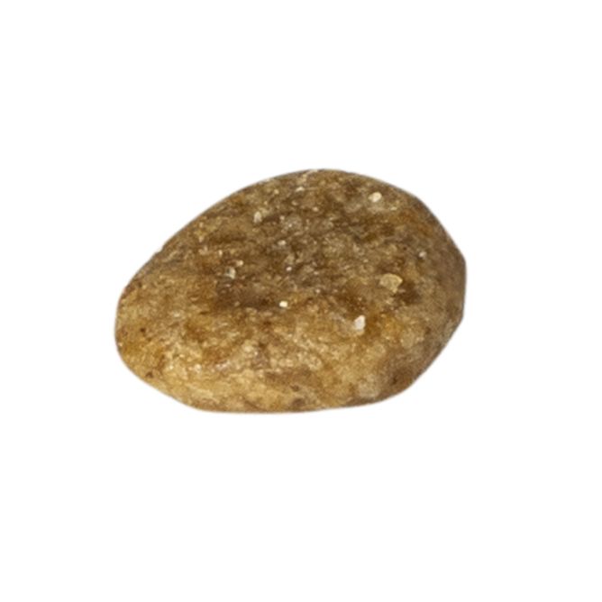 Prins VitalCare Diet Renal&Liver Support sausā barība kaķiem, 5kg