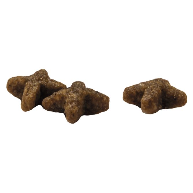 Prins VitalCare Indoor sausā barība kaķiem, 10kg