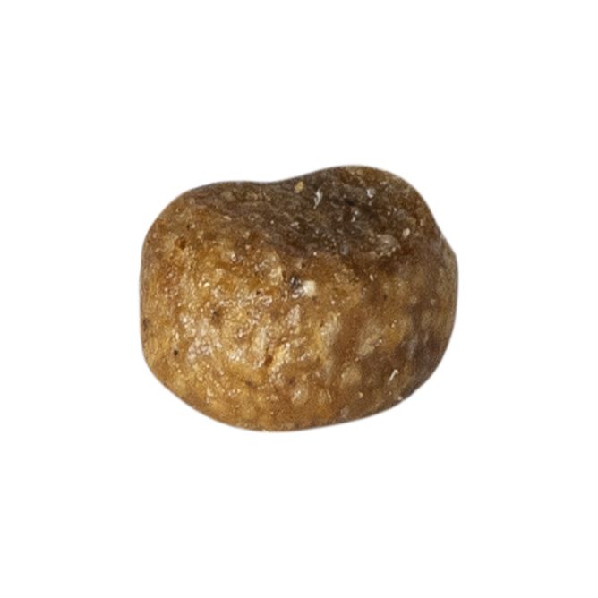 Prins VitalCare Protection Adult Fit sausā barība kaķiem, 10kg