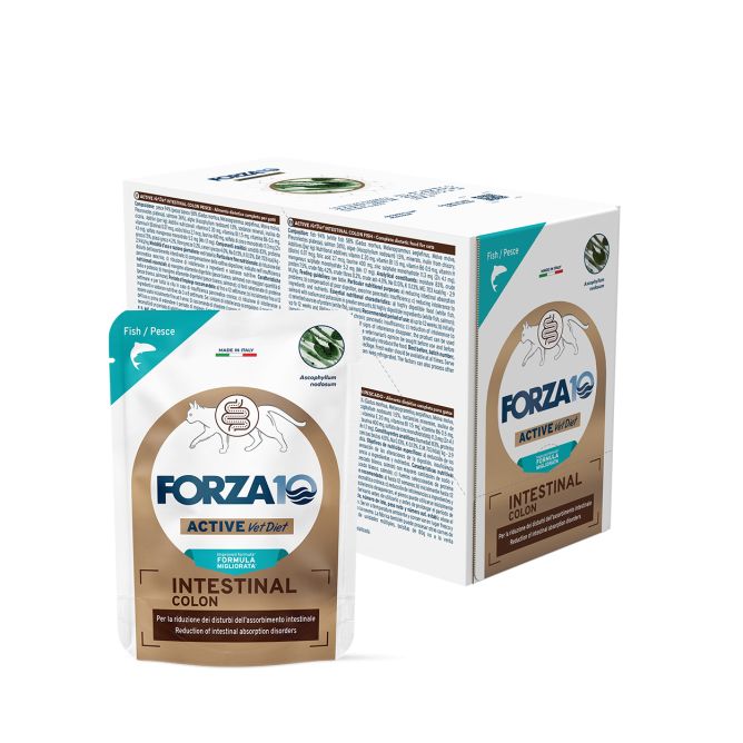 Forza10 Active VetDiet Intestinal Colon konservi kaķiem, 80g