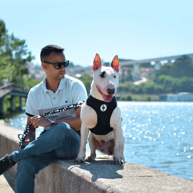 Dashi mīkstie NeoMesh iemaukti suņiem ASTRONAUT, XS