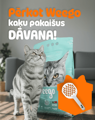 Valentīndienas akcija