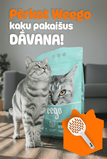 Valentīndienas akcija