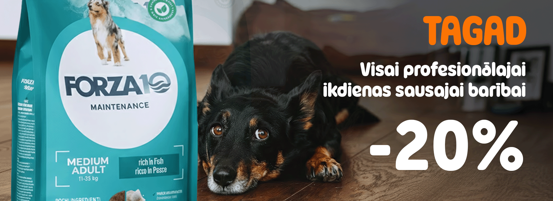 Mīlestība, kas izpaužas rūpēs