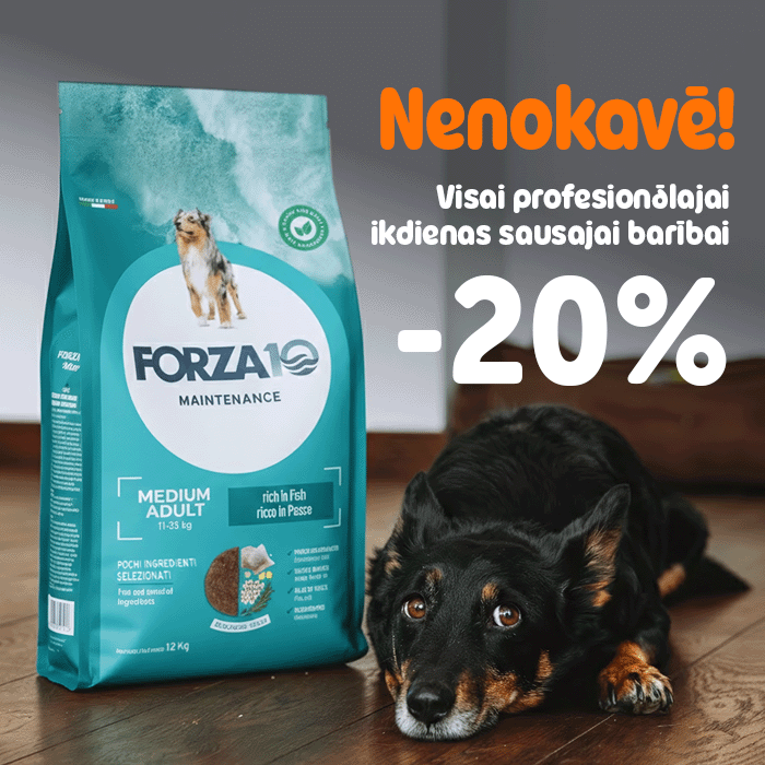 Mīlestība, kas izpaužas rūpēs